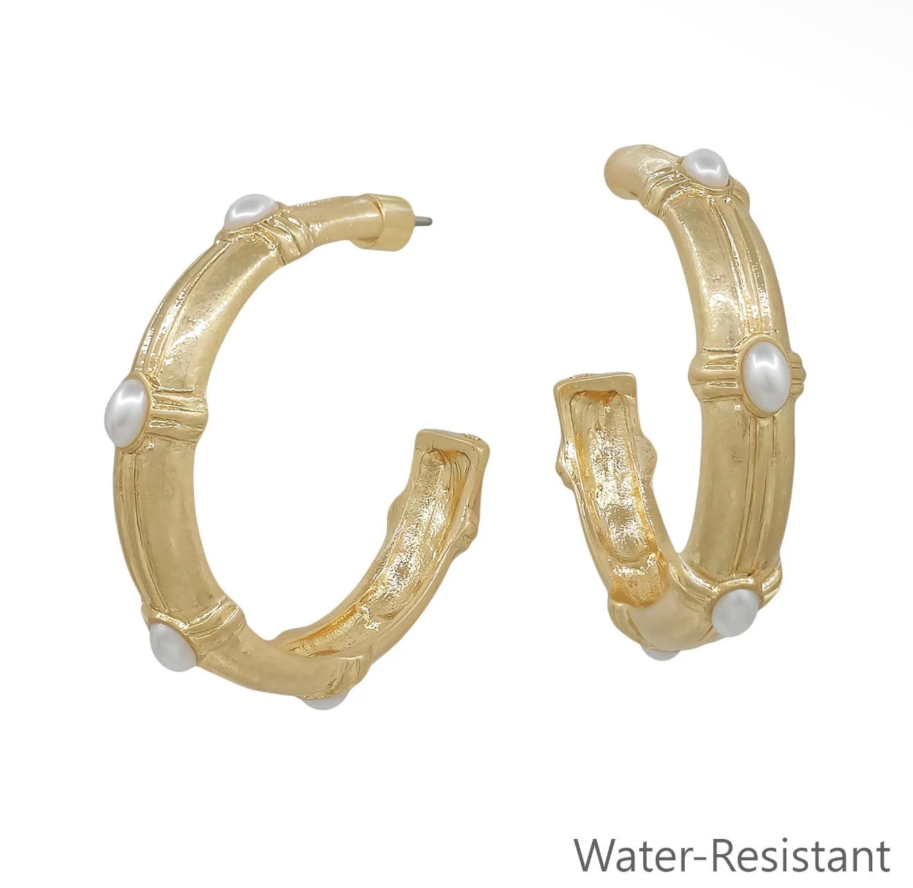 Hammered Hoop with Crystal Earring, Various
