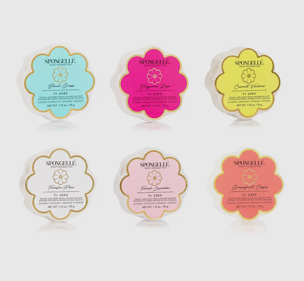 Daisy Spongettes, Various