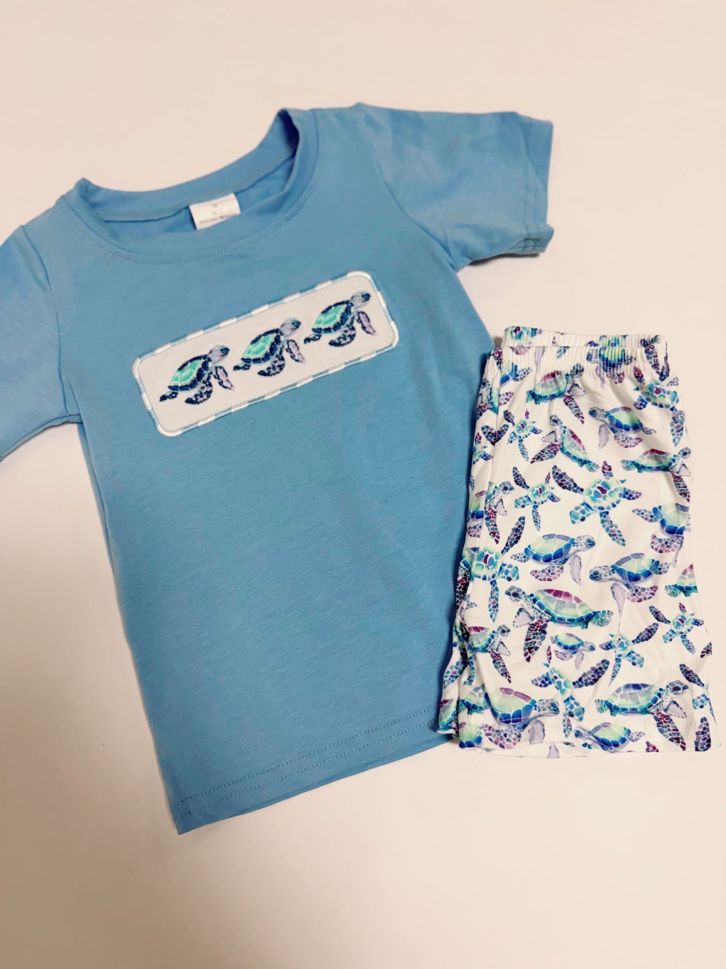 Seaside Turtle Set