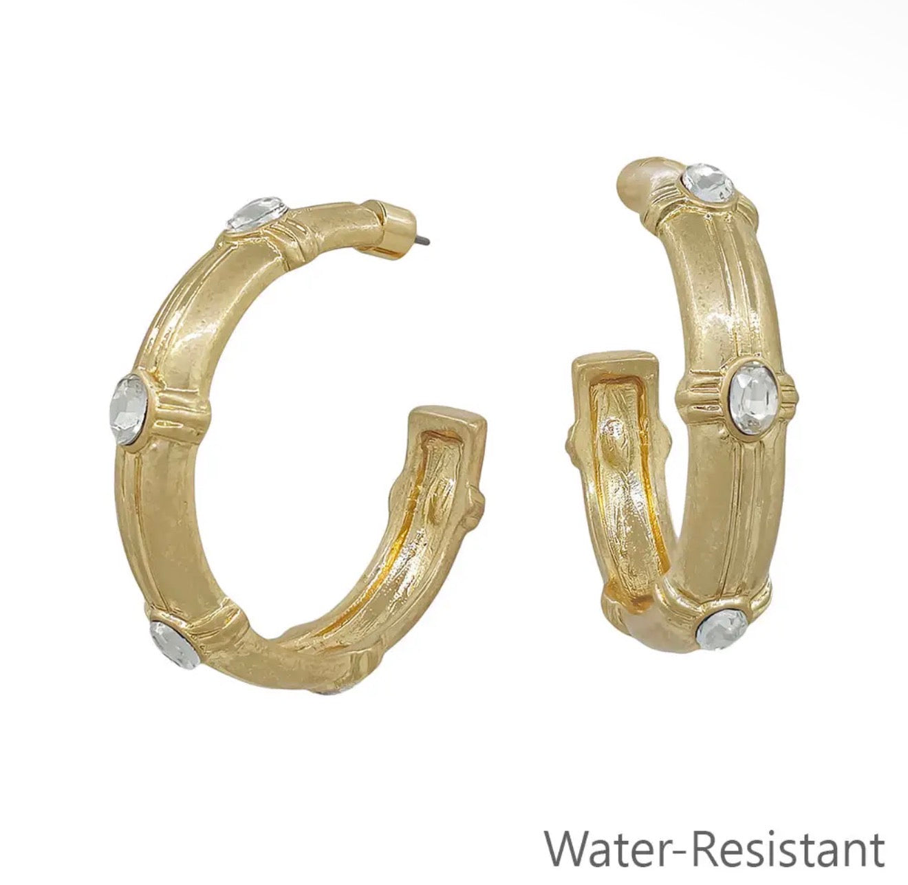 Hammered Hoop with Crystal Earring, Various