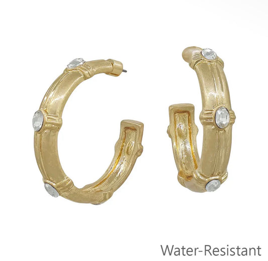 Hammered Hoop with Crystal Earring, Various