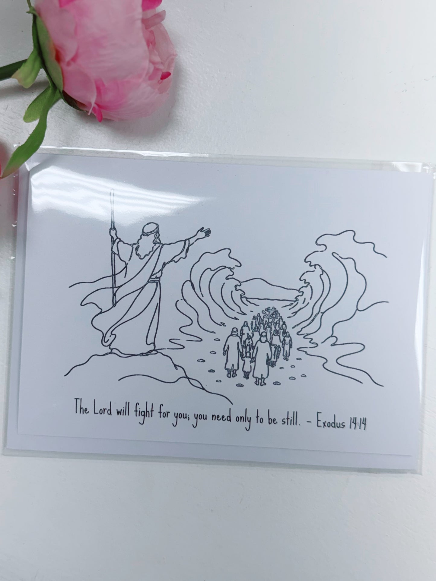 Shepherd to Shepherd Cards, Various